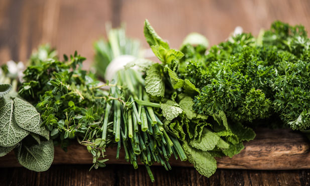 10 Plantas Aromáticas para um Jardim Terapêutico Anti-Estresse