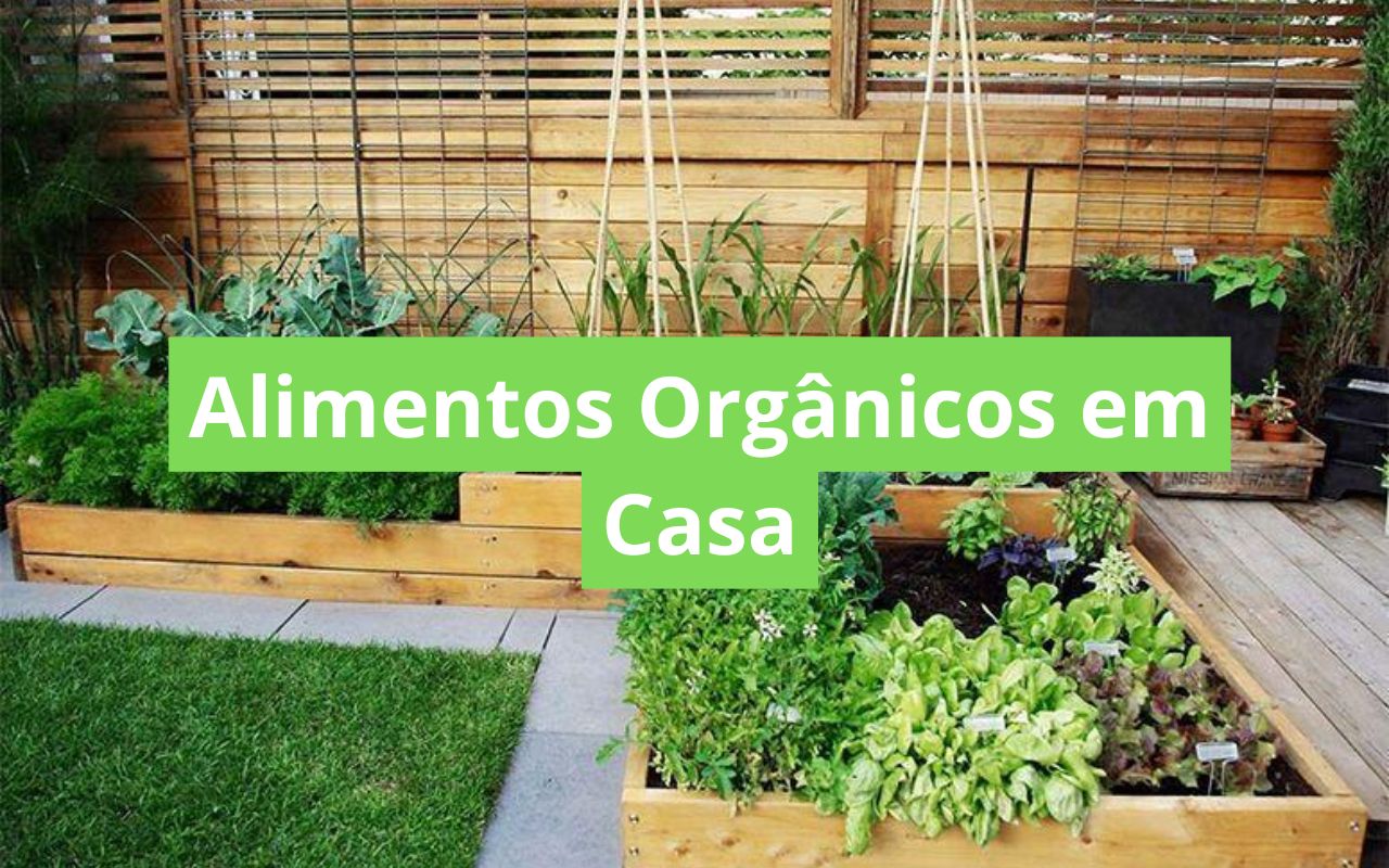 Cultivar Alimentos Orgânicos em Casa