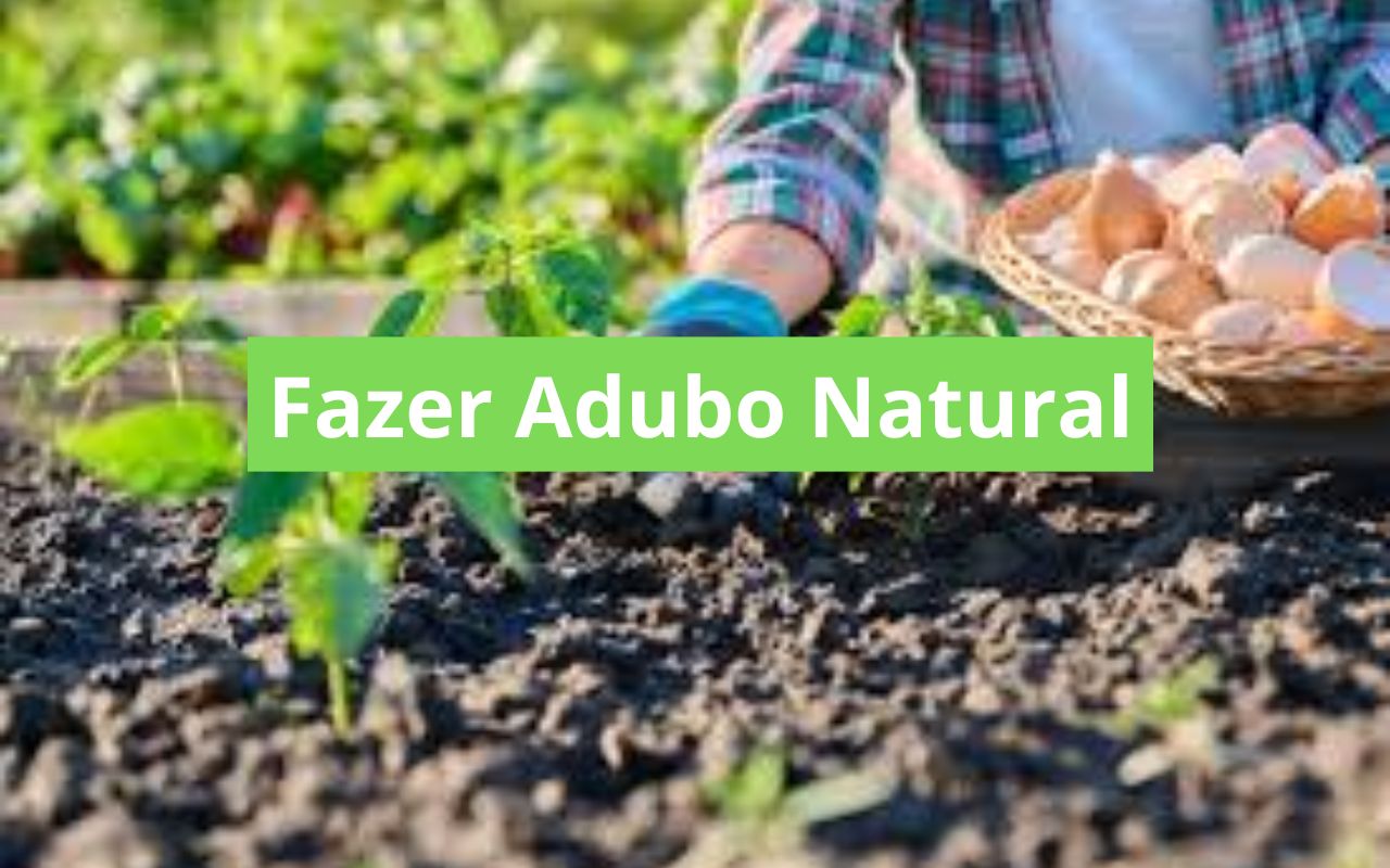 Fazer Adubo Natural