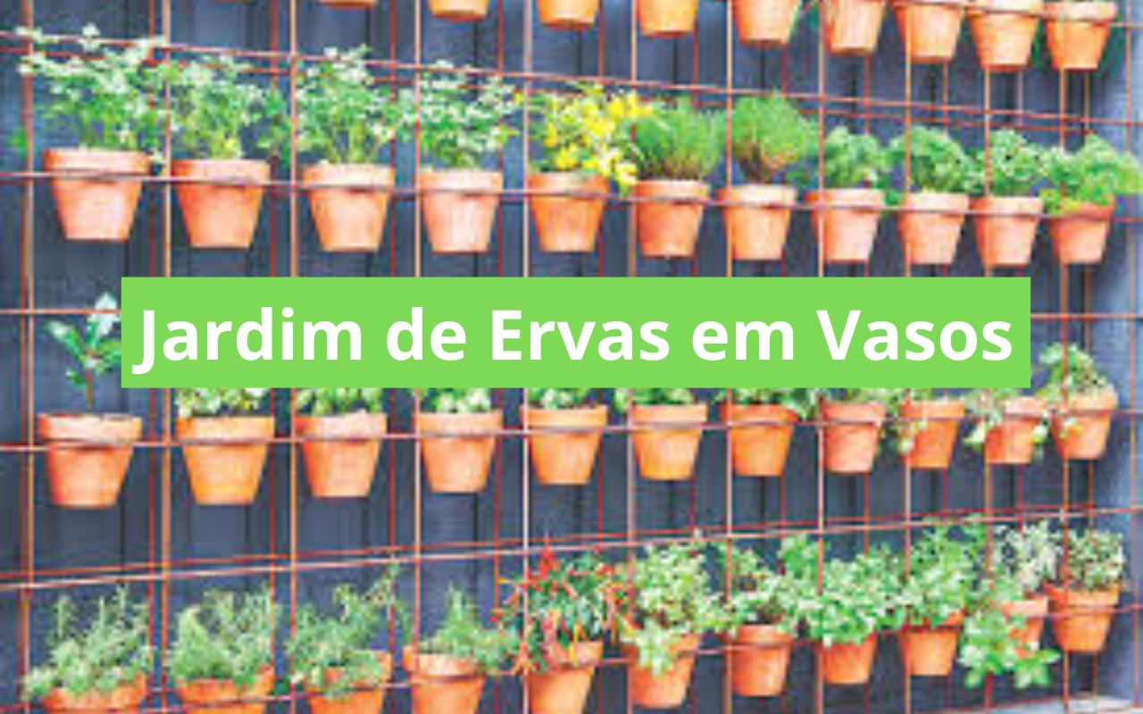 Jardim de Ervas em Vasos