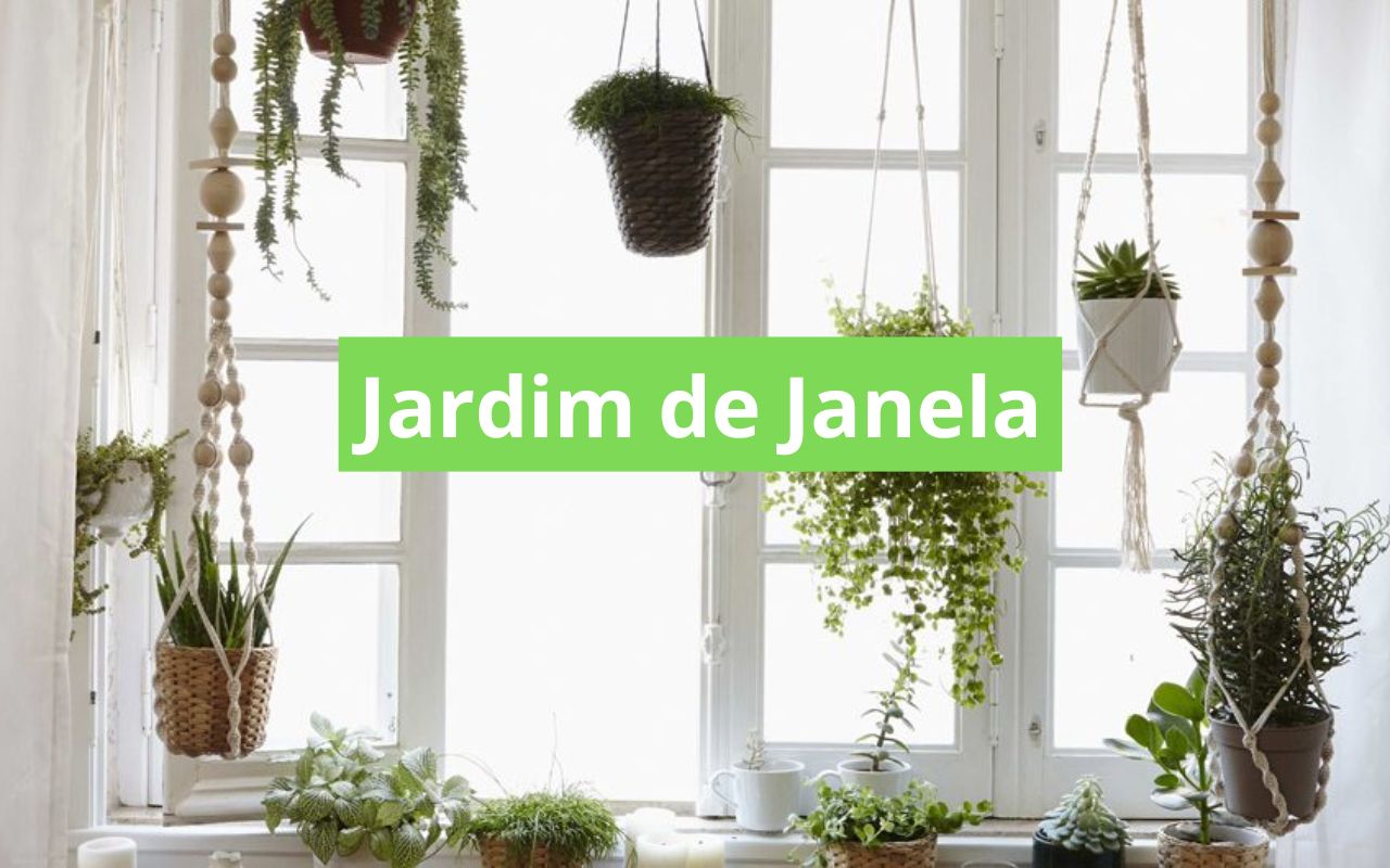 Jardim de Janela