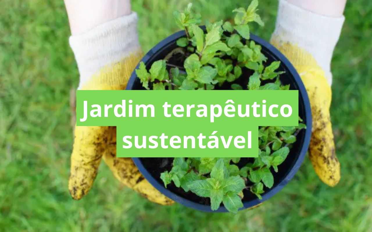 Jardim terapêutico sustentável