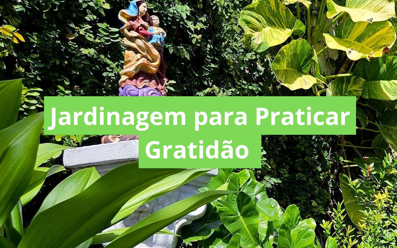 Jardinagem para Praticar Gratidão