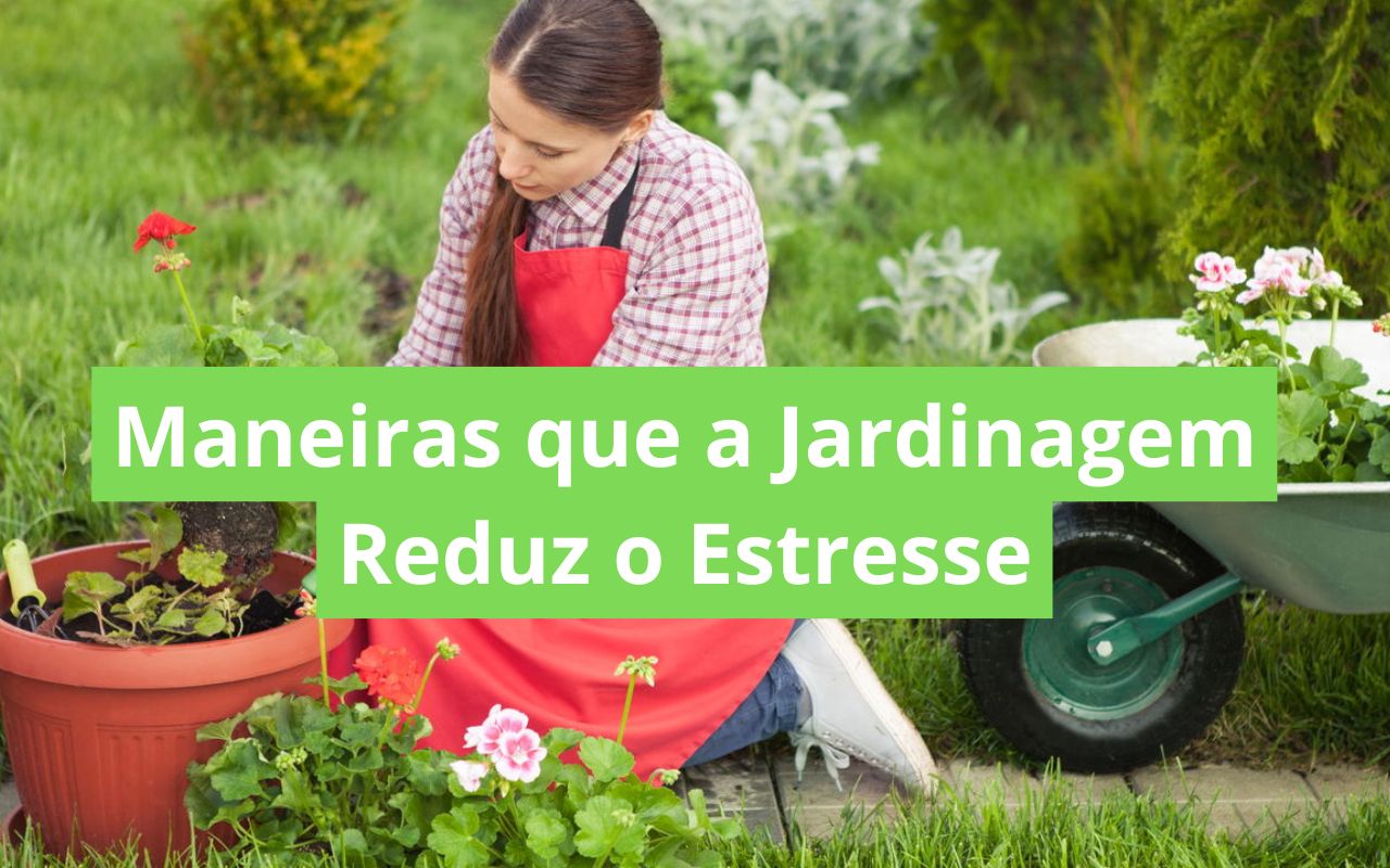 Maneiras que a Jardinagem Reduz o Estresse