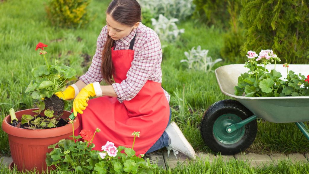 Maneiras que a Jardinagem Reduz o Estresse