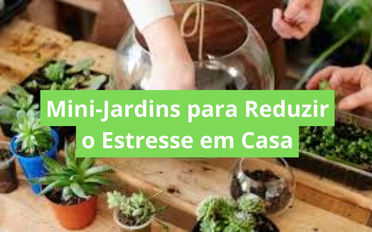 Mini-Jardins para Reduzir o Estresse em Casa