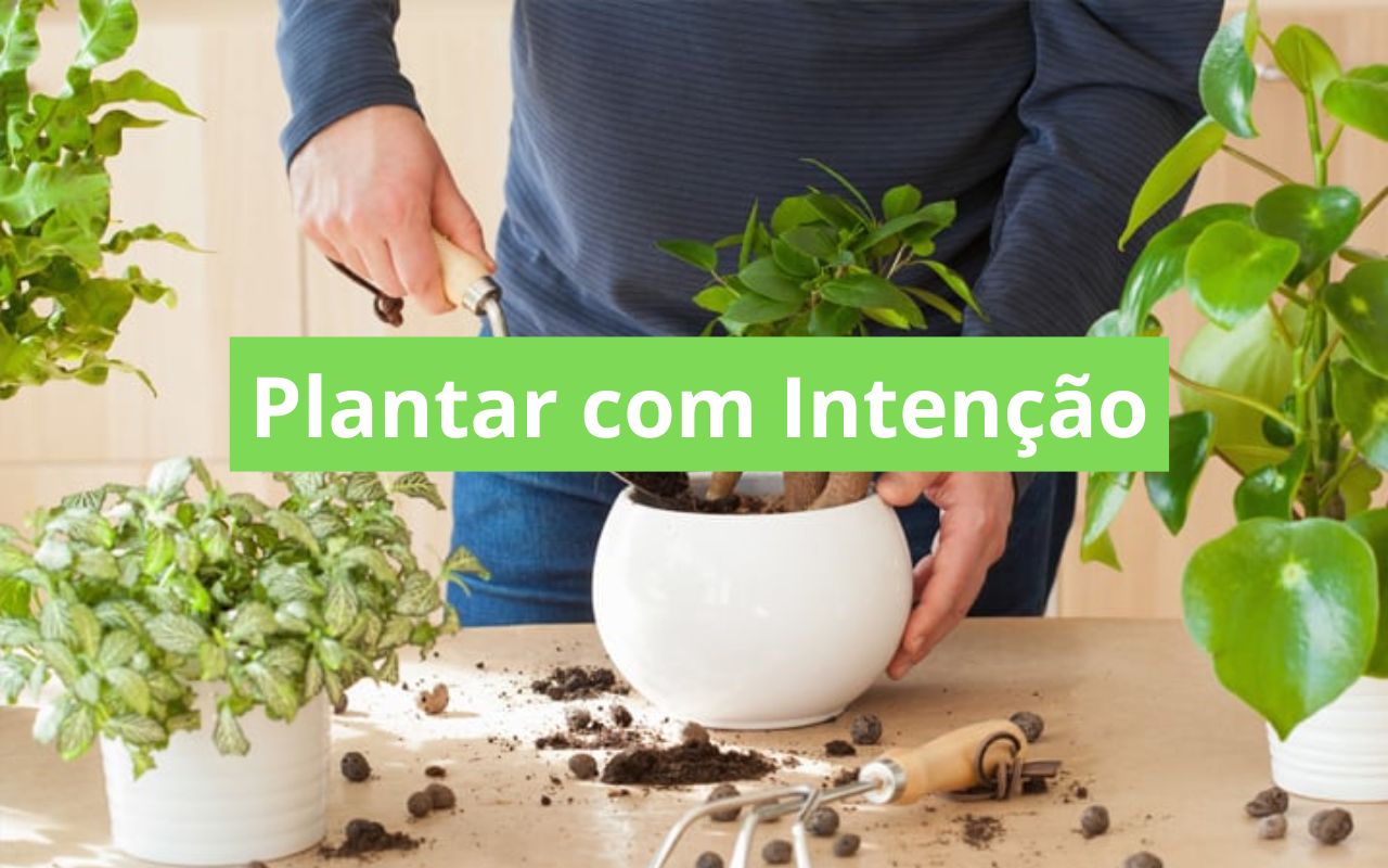 Plantar com Intenção