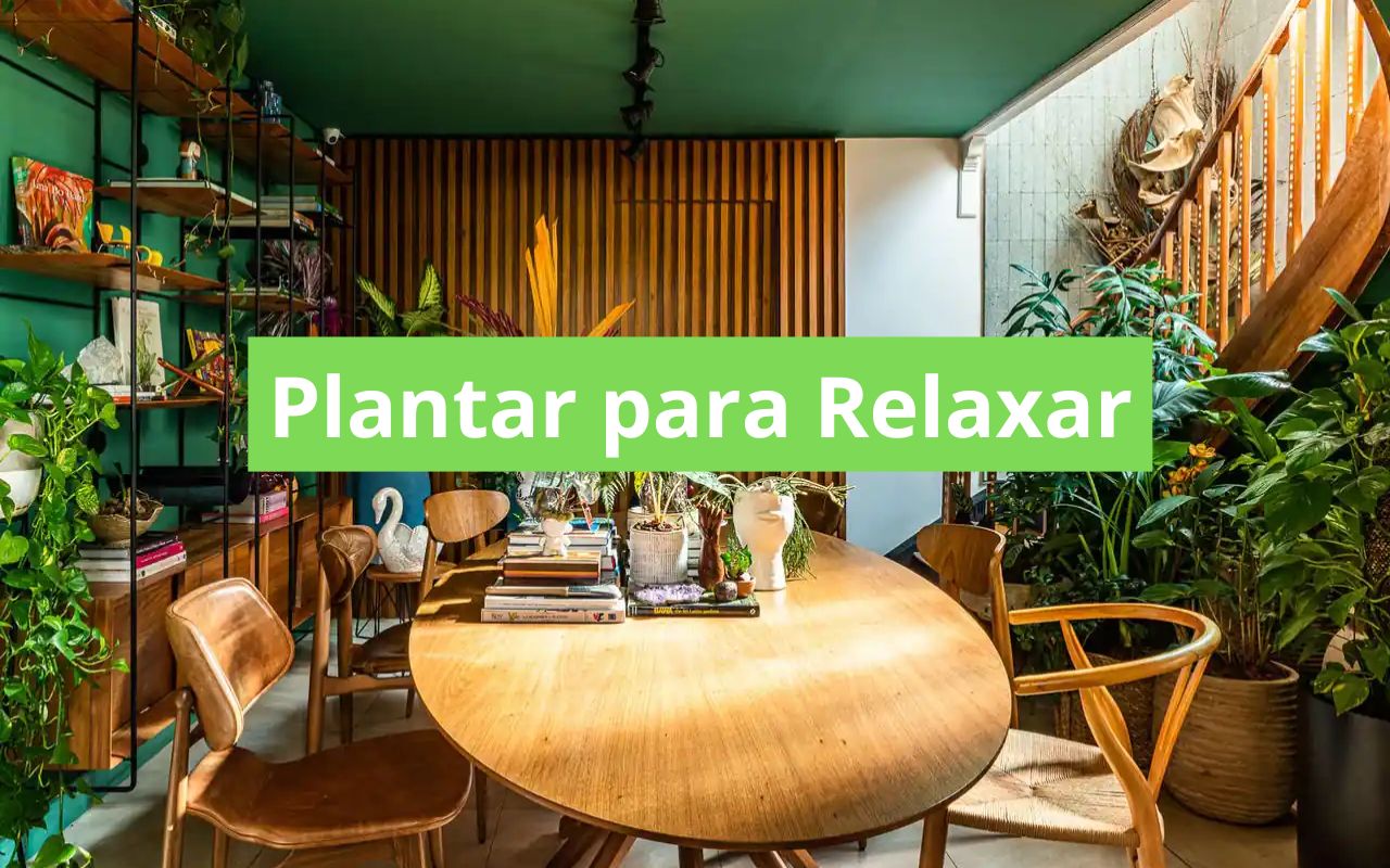 Plantar para Relaxar
