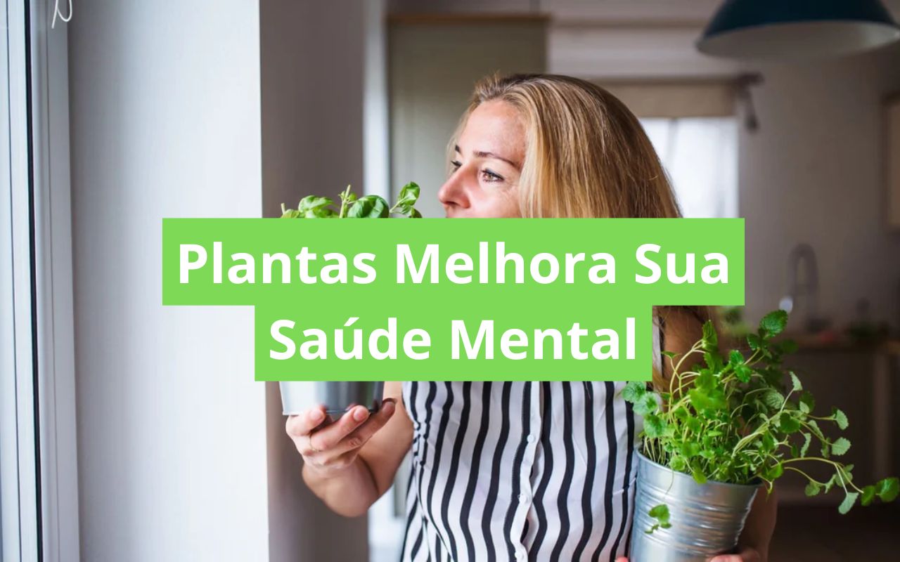 Plantas Melhora Sua Saúde Mental