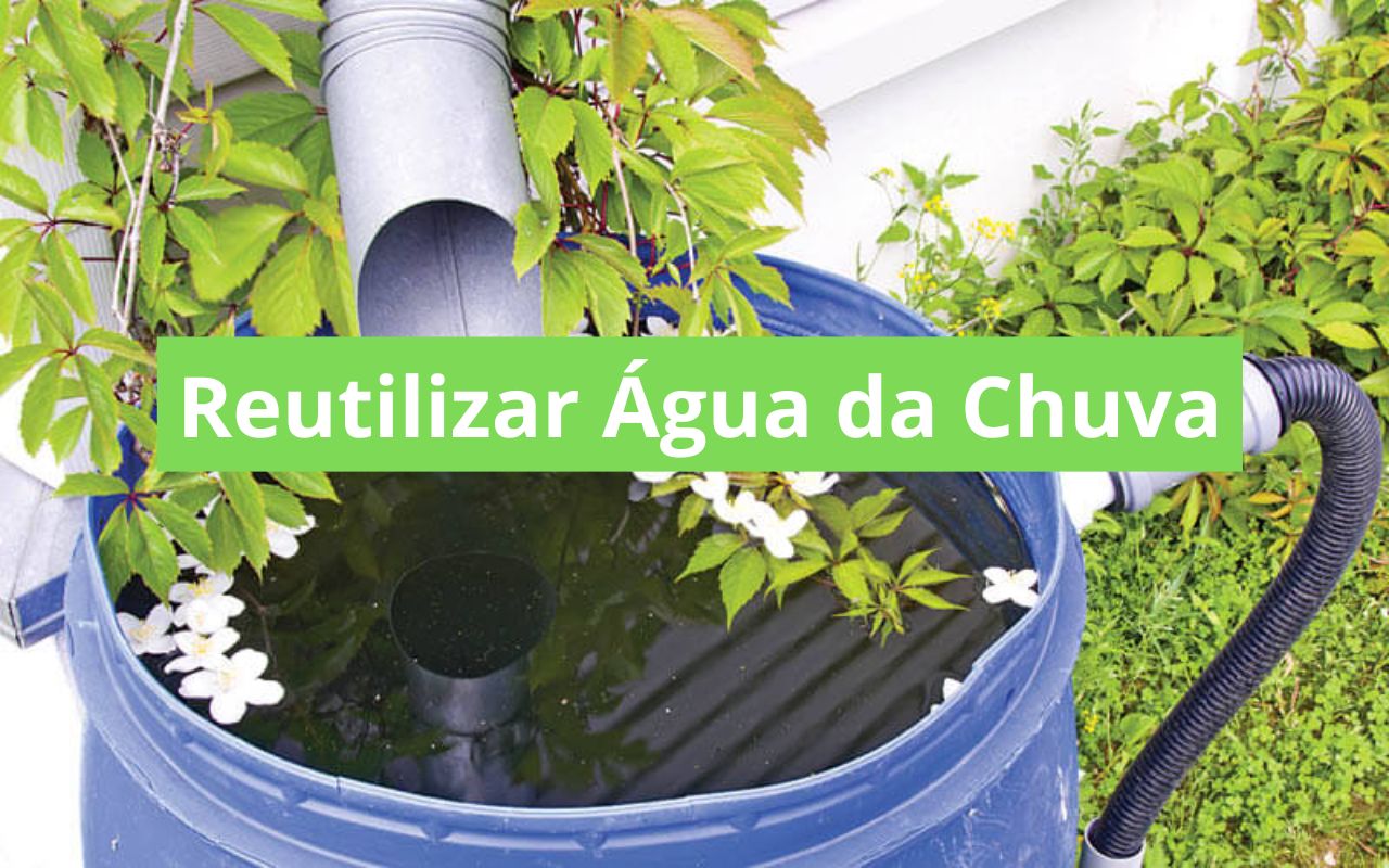 Reutilizar Água da Chuva