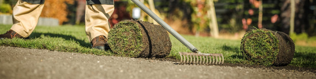 Combinar Mindfulness e Jardinagem para Reduzir o Estresse